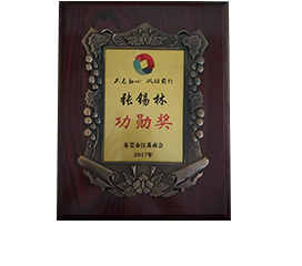 功勋奖